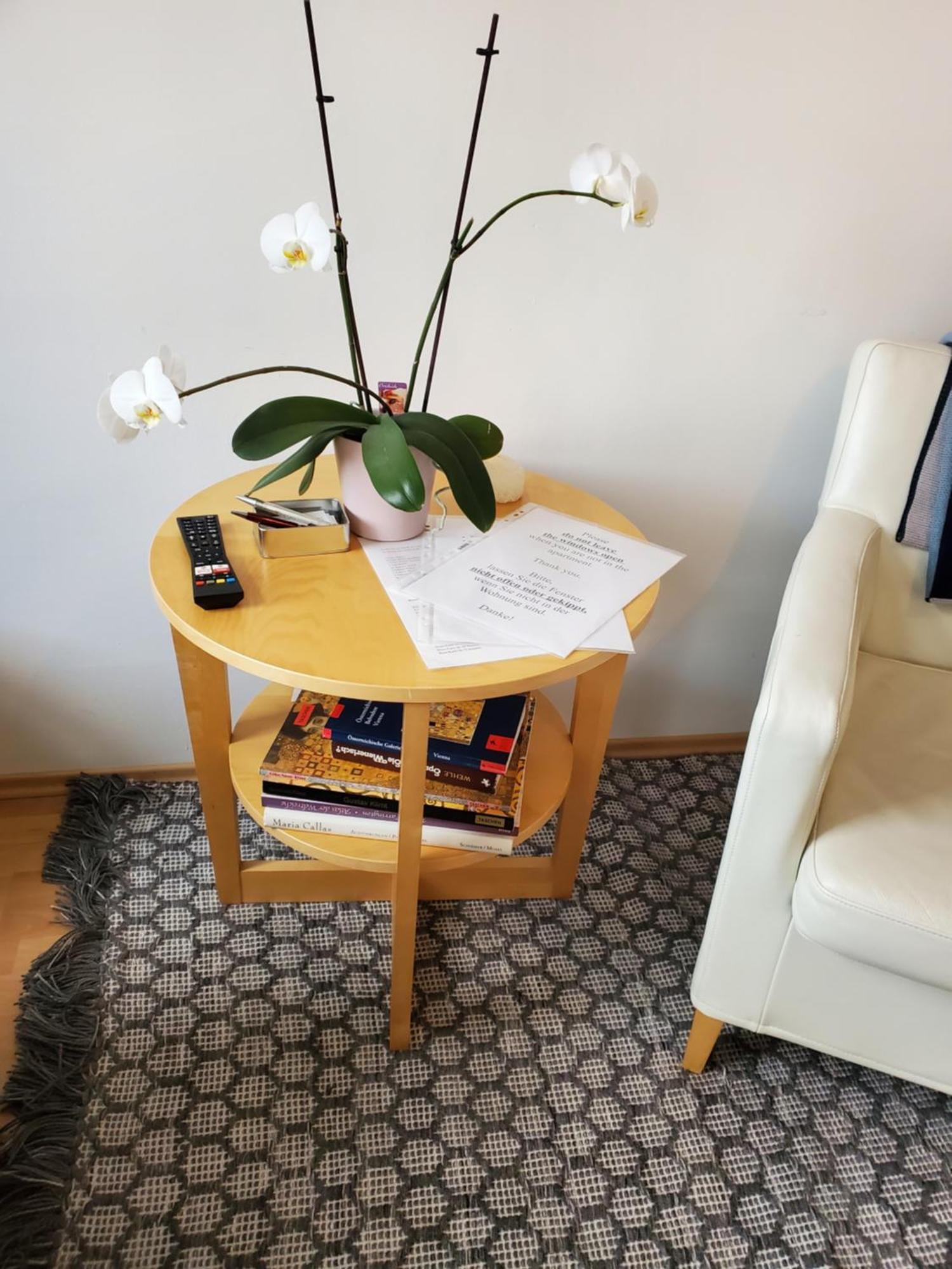 Schubert Park Apartment Near Volksopera Wina Bagian luar foto
